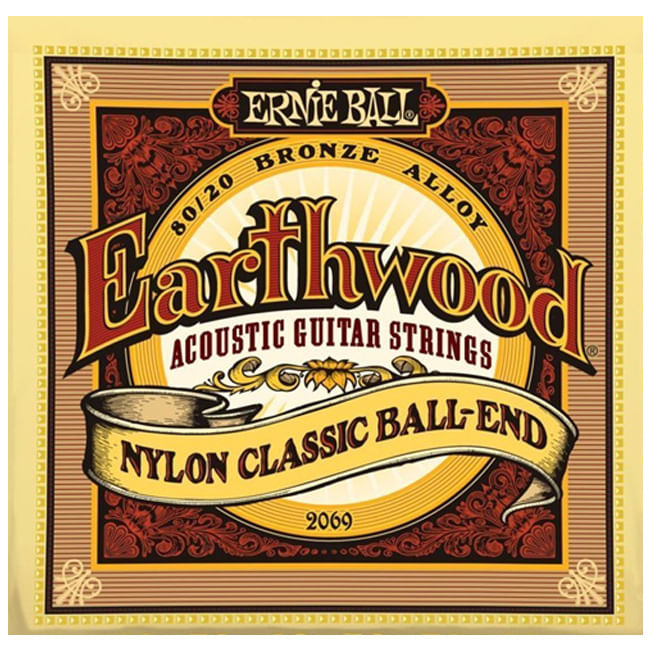 p02069ernieball