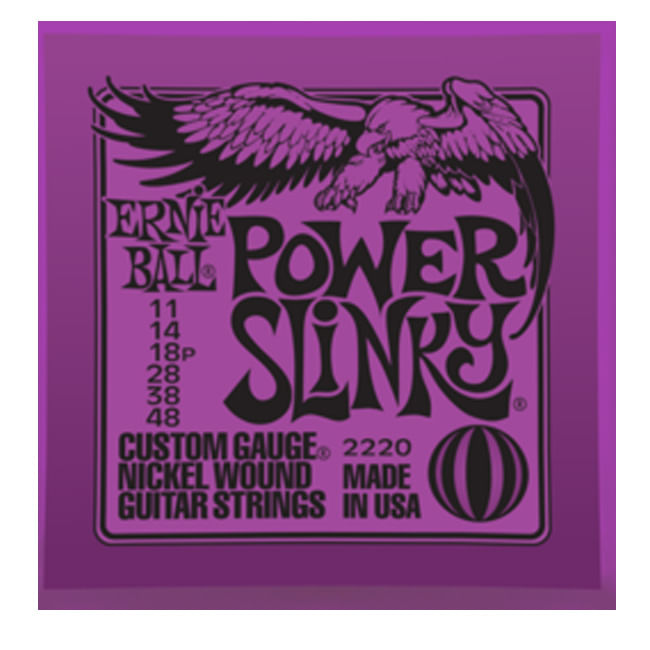 p02220ernieball