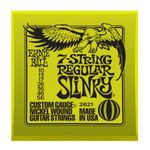 p02621ernieball