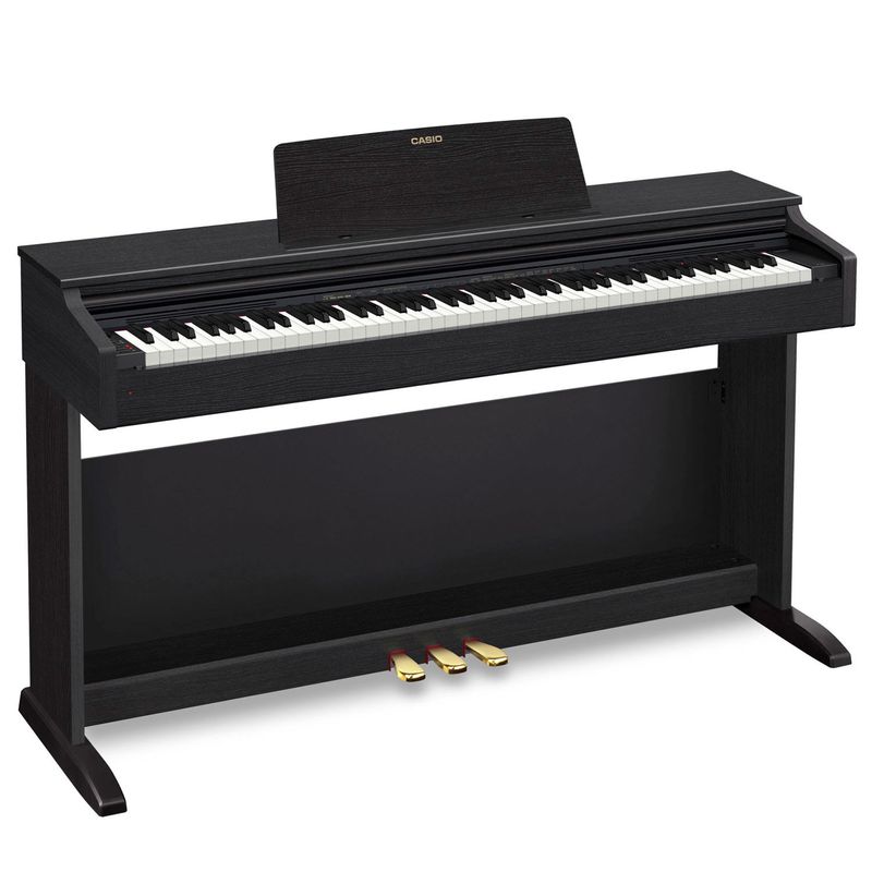 ap270bkcasio1