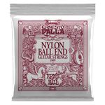 p02409ernieball