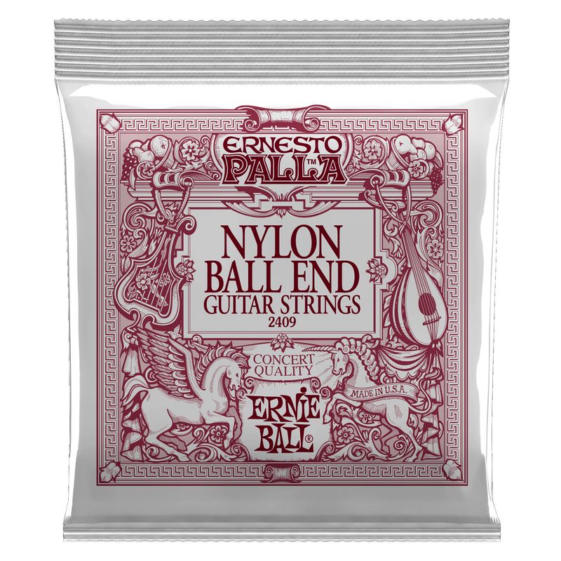 p02409ernieball