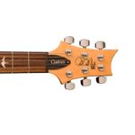 secustom24dcprs3