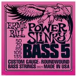 p02821ernieball