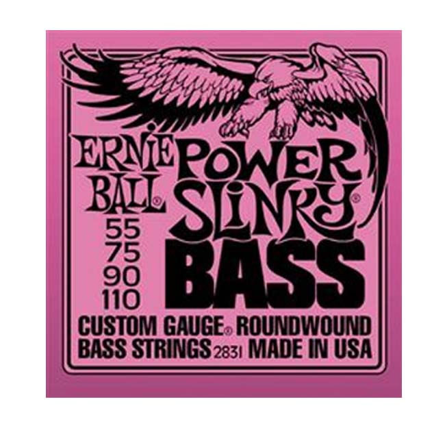 p02831ernieball