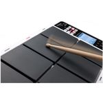 spd30roland2