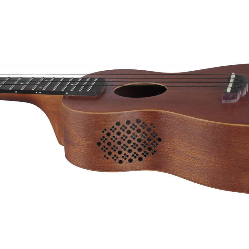 ibanez-ukc100-opn-ukelele-concierto-open-pore-natural