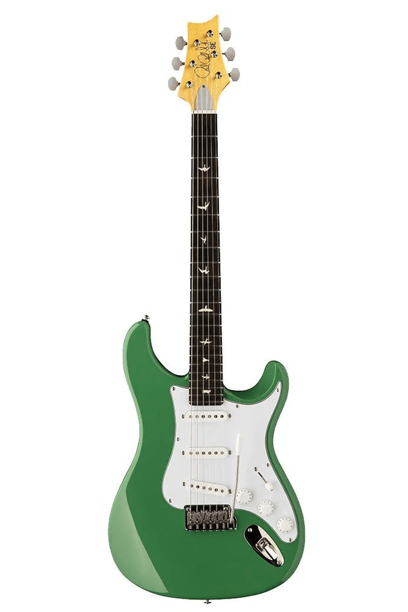 silver-sky-evergreen