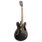 2-guitarra-electrica-as73g-black-flat-211134