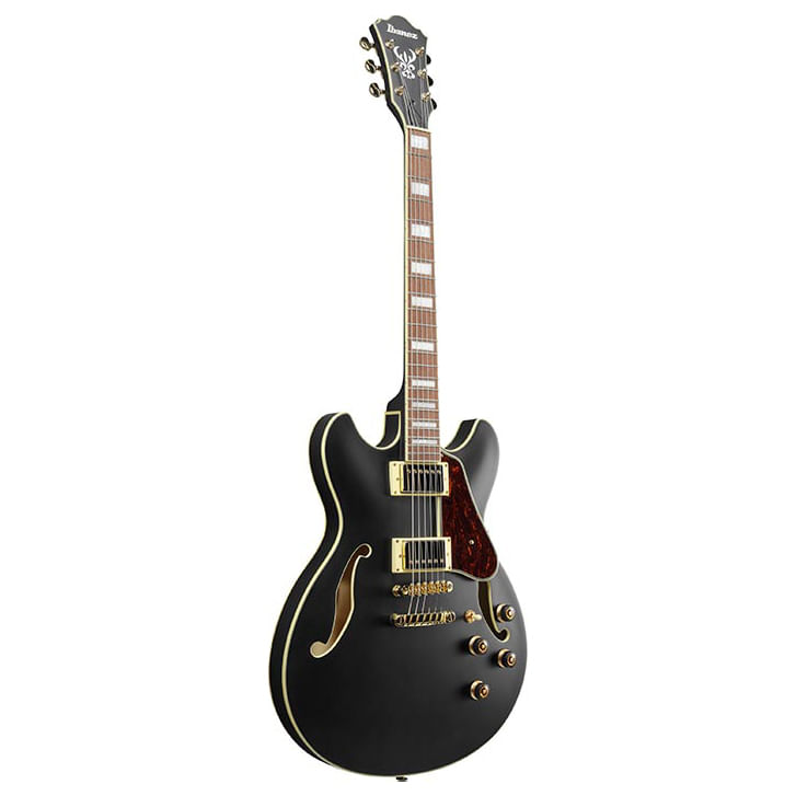 2-guitarra-electrica-as73g-black-flat-211134