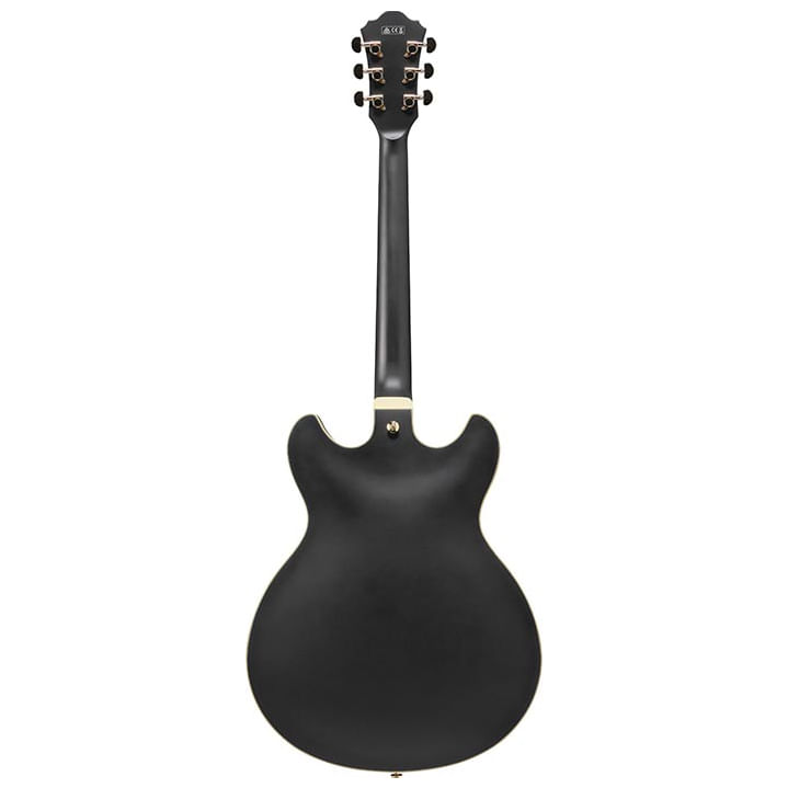 3-guitarra-electrica-as73g-black-flat-211134