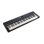 2-teclado-personal-roland-go-keys-5-61-teclas-gt-213452.jpg