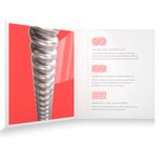 3-XSE1052-cuerdas-guitarra-electrica-1110798