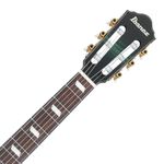 3-guitarra-clasica-electroacustica-ibanez-frh20fmn-deep-emerald-green-214662